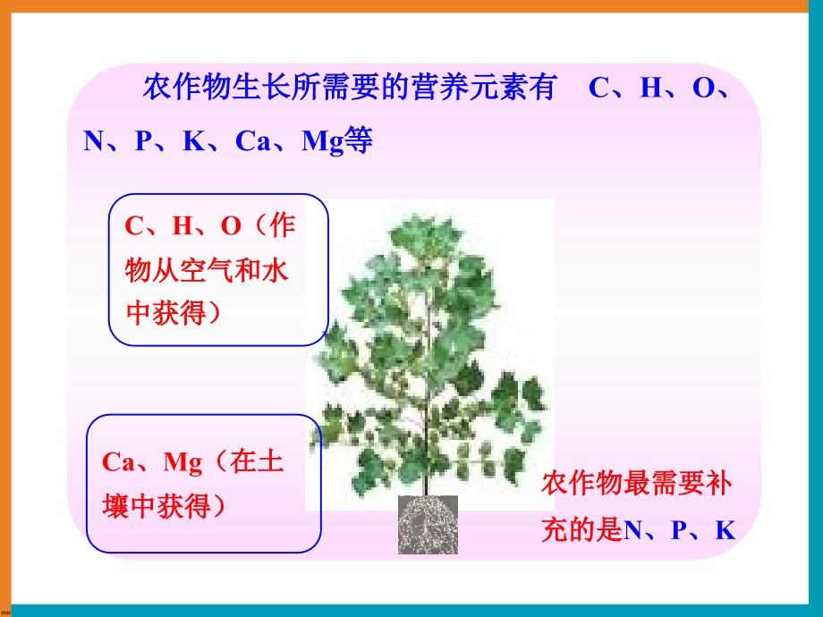 《化学肥料》参考课件1_第3页