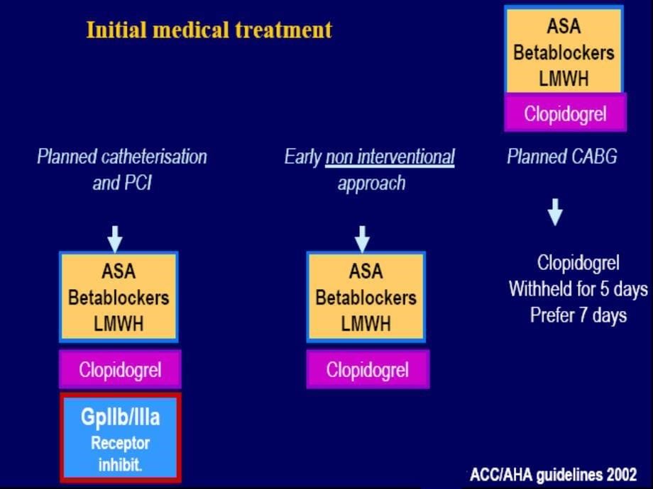 最新急性冠脉综合征的药物治疗PPT文档_第5页