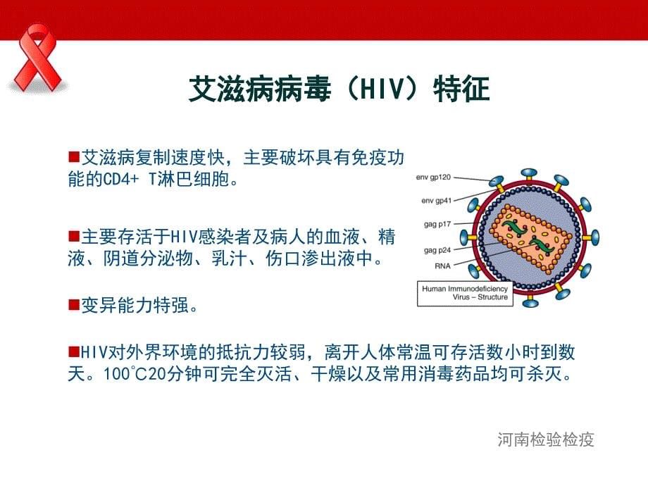 世界艾滋病日宣传_第5页