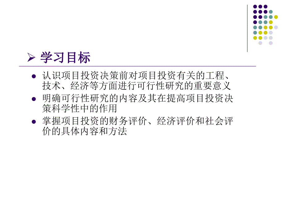 投资学 9章可行性研究与投资决策_第2页