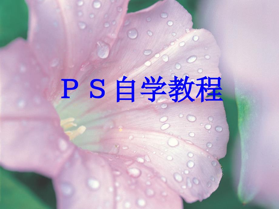 《PS自学教程》PPT课件.ppt_第1页