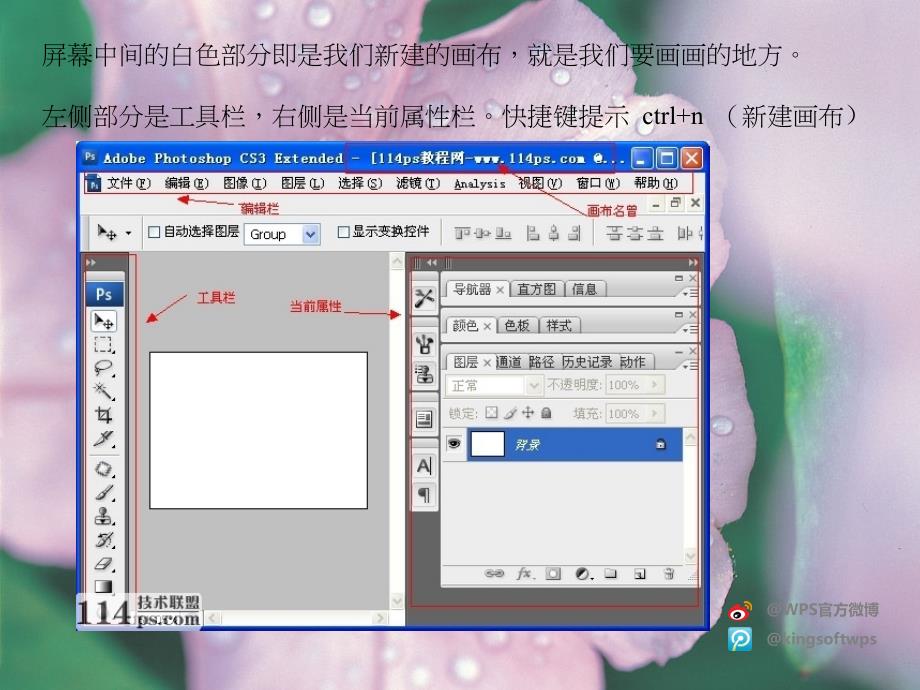 《PS自学教程》PPT课件.ppt_第4页