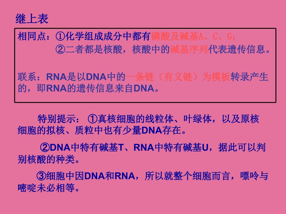 高三复习基因指导蛋白质的合成ppt课件_第3页