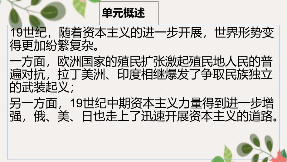 九年级历史下册第1单元殖民地人民的反抗与资本主义制度的扩展第1课殖民地人民的反抗斗争课件3新人教版_第2页