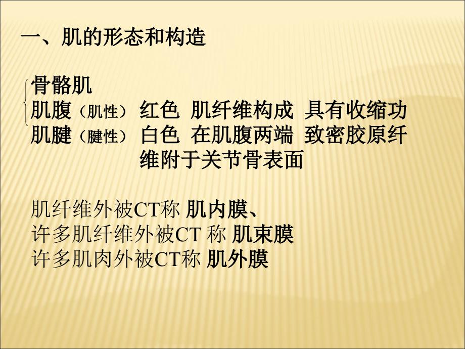 7、第三章肌学总论、头面颈肌_第4页