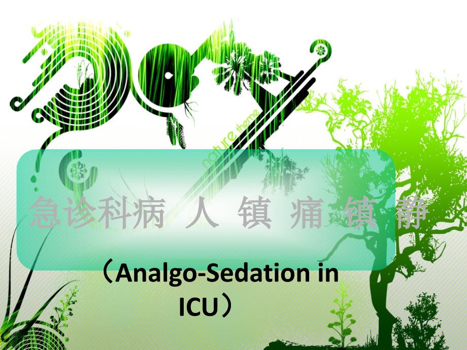 优质课件急诊科镇静镇痛_第1页