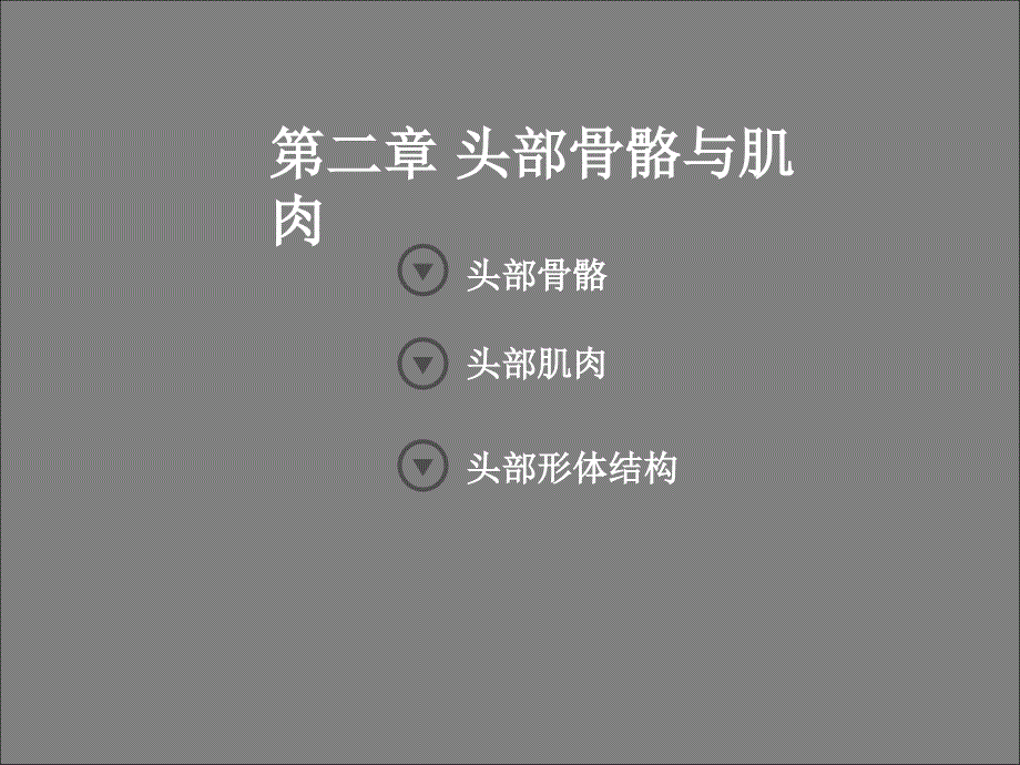 艺用人体解剖学头部躯干_第1页