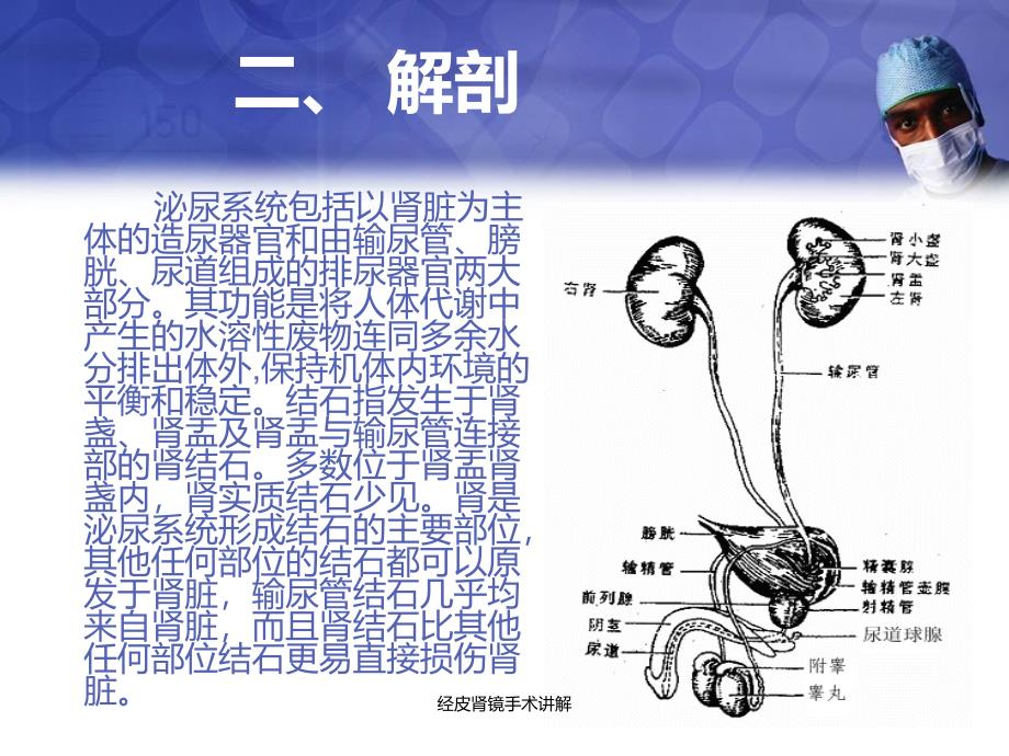 经皮肾镜手术讲解_第4页