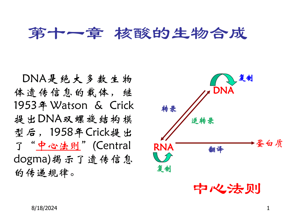 中心法则的扩展资料_第1页