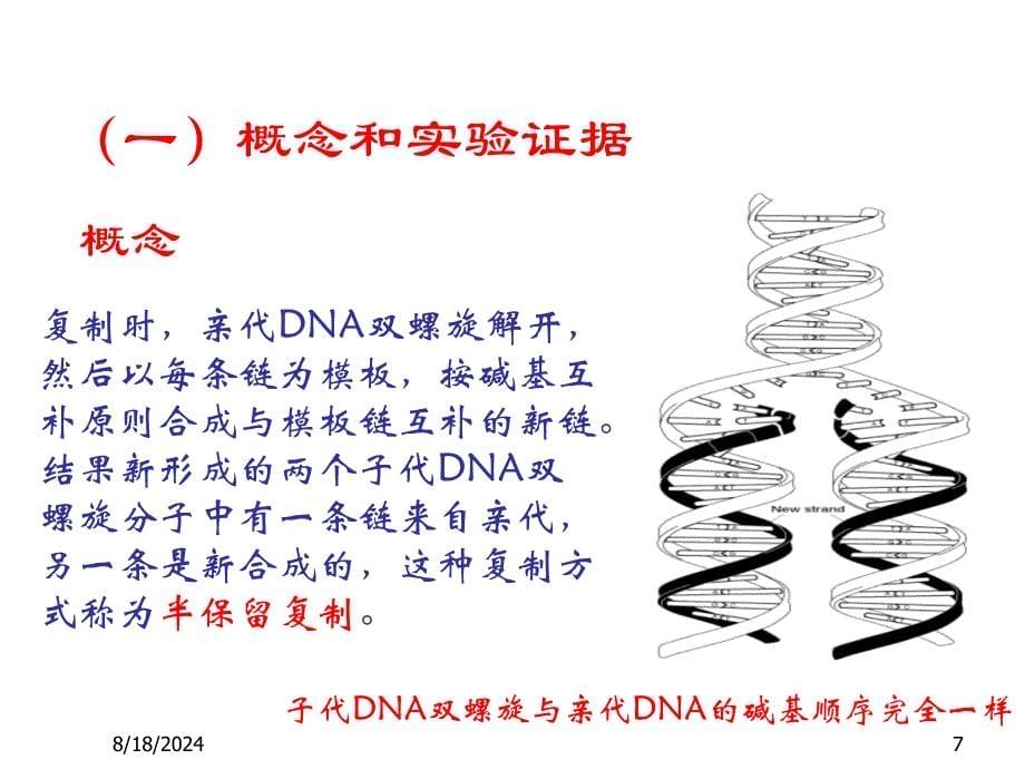 中心法则的扩展资料_第5页