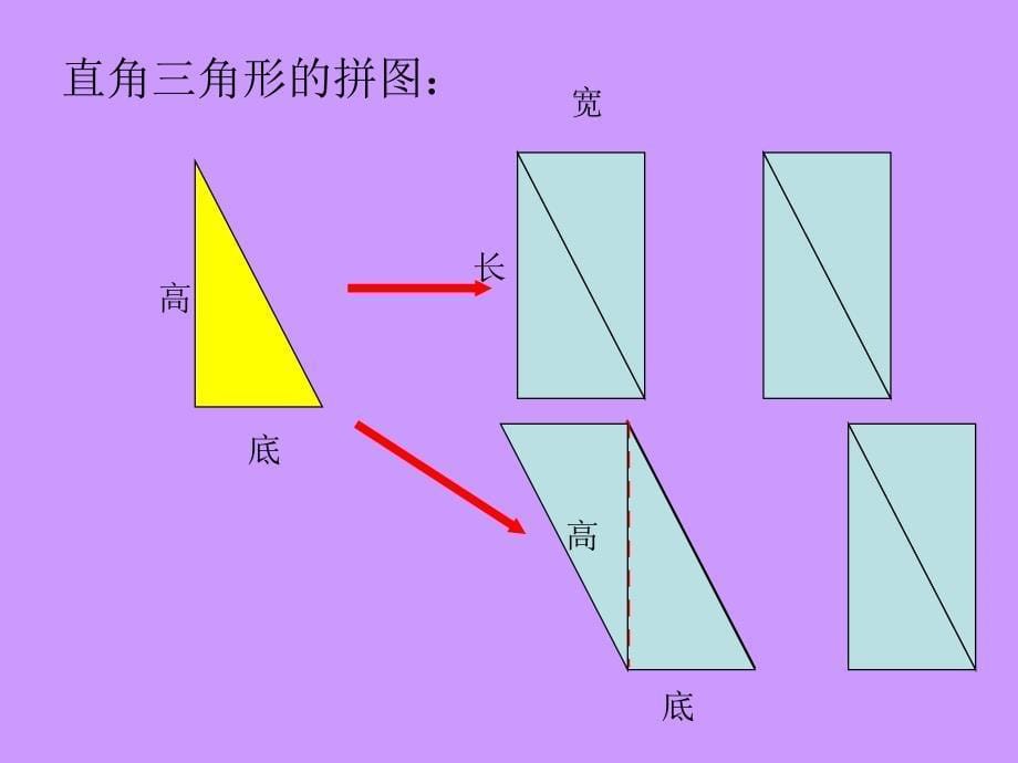 五年级三角形的面积_第5页