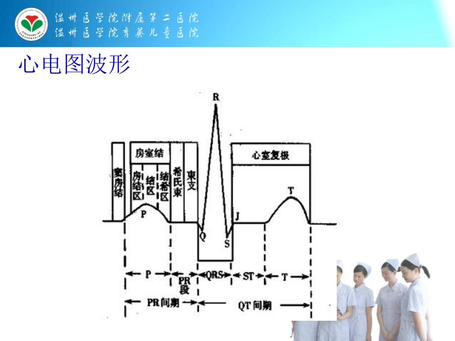 正常心电图见习课_第2页