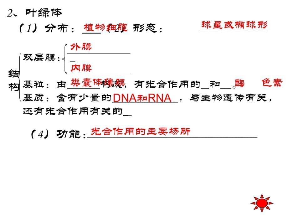 第三章第二节细胞器系统内的分工合作_第5页