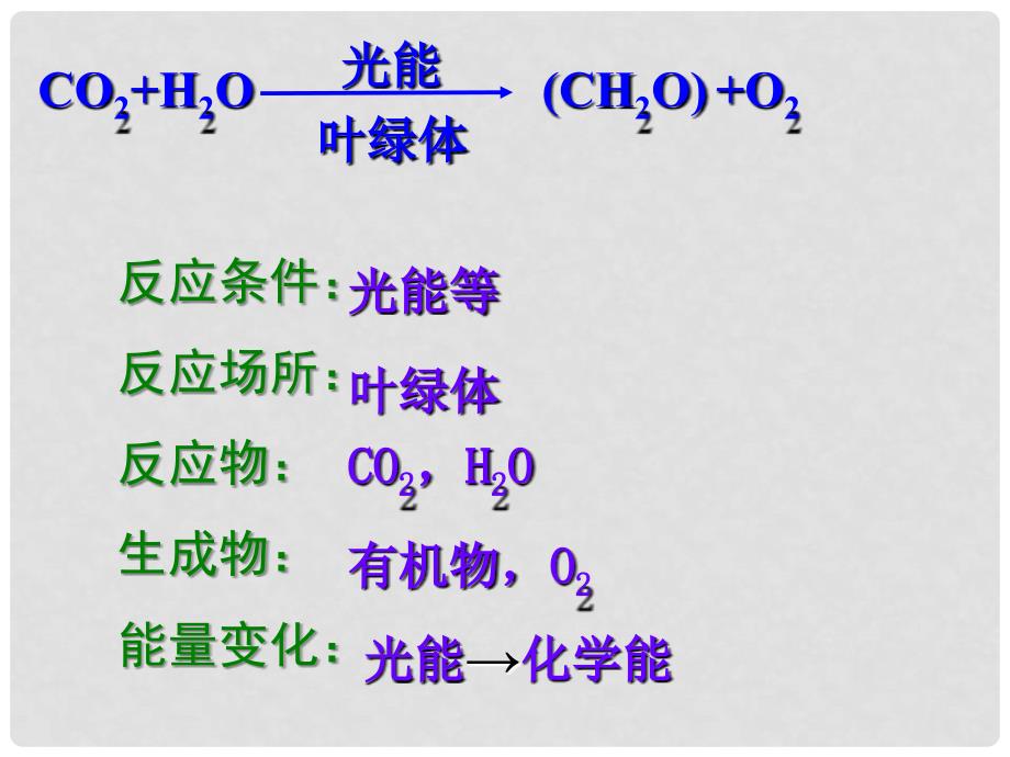 江西省南昌市高二生物《光合作用》课件_第3页