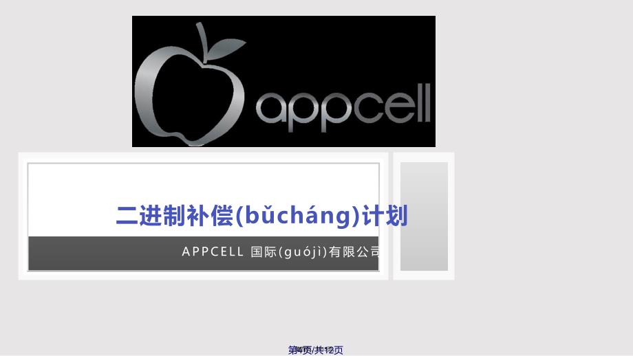 appcellcompensationplan中文实用教案_第4页