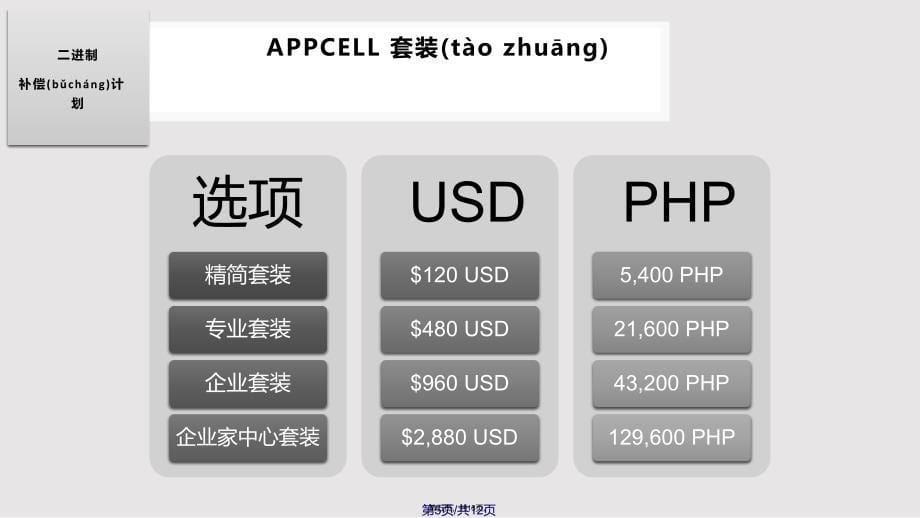 appcellcompensationplan中文实用教案_第5页