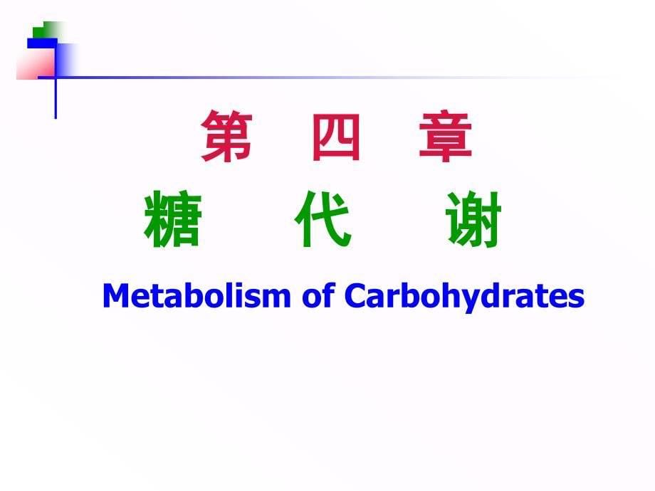 物质代谢与调节_第5页