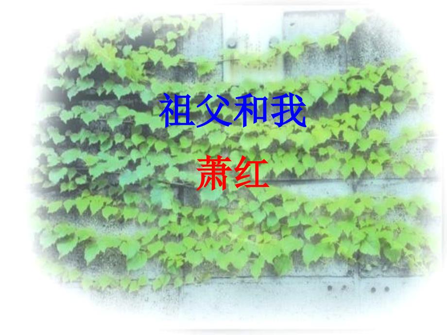 (五四制)沪教版语文六上祖父和我ppt课件_第1页