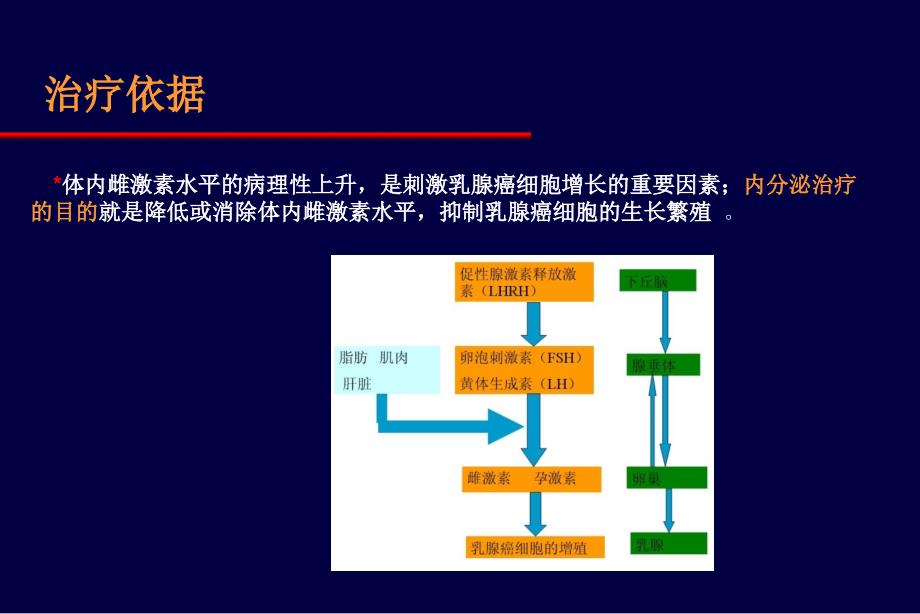 乳腺癌的内分泌治疗_第2页