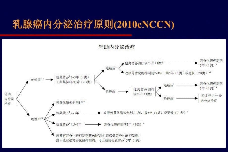 乳腺癌的内分泌治疗_第5页