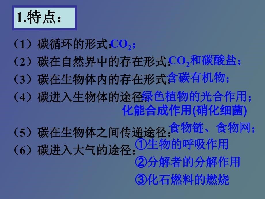 高三生物复习生态系统的物质循环_第5页