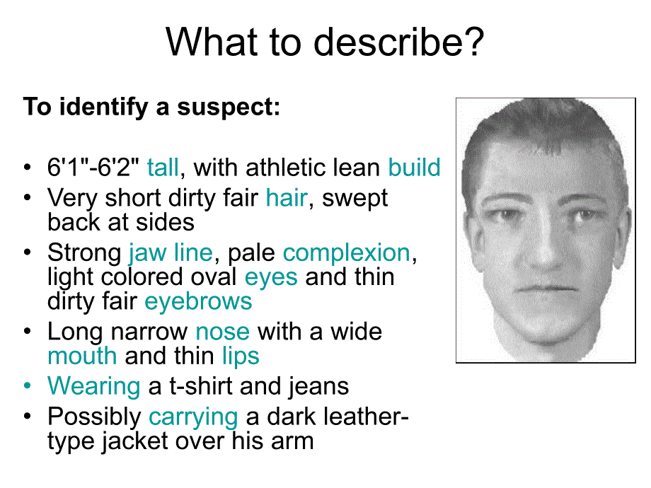 describing-people-appearance_第2页