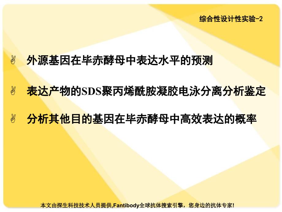 表达产物的SDS聚丙烯酰胺凝胶电泳分离分析鉴定课件_第1页