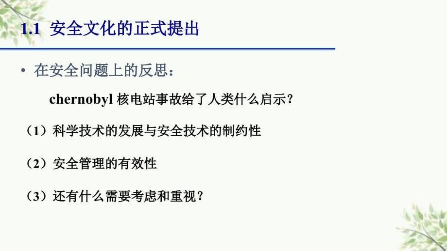 企业安全文化建设导则课件_第5页