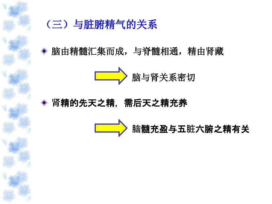 奇恒之腑脏腑关系_第5页