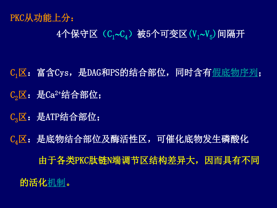 生物化学DAGPKC信号传递途径_第3页