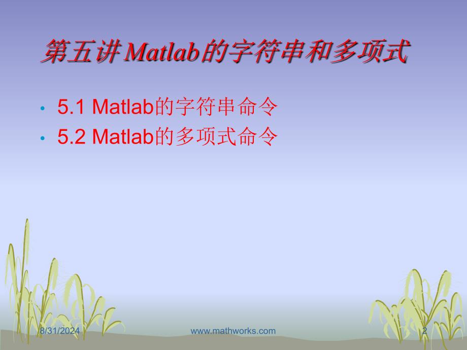 五章节Matlab字符串和多项式_第2页