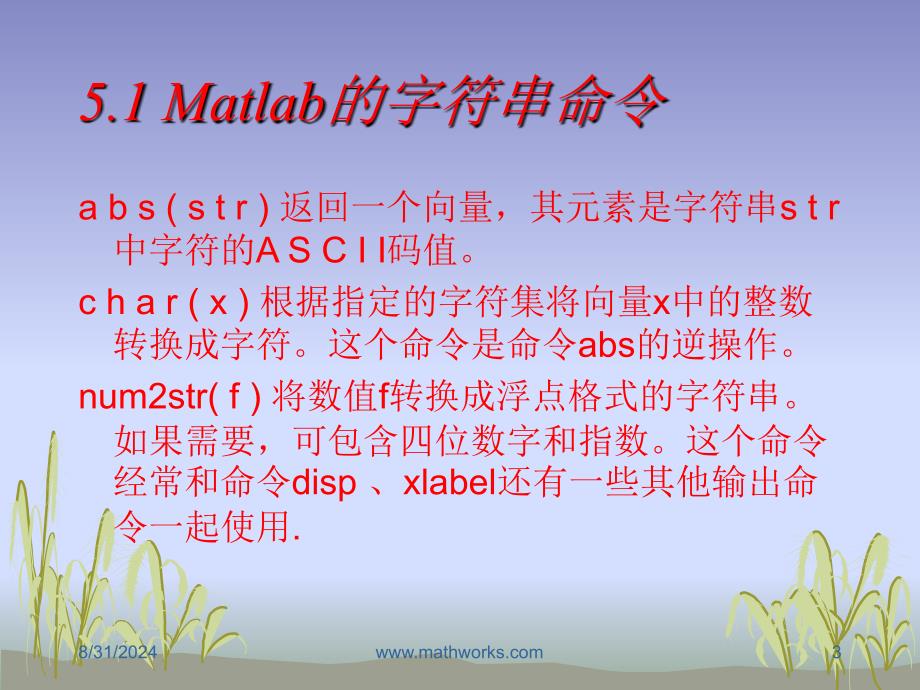 五章节Matlab字符串和多项式_第3页