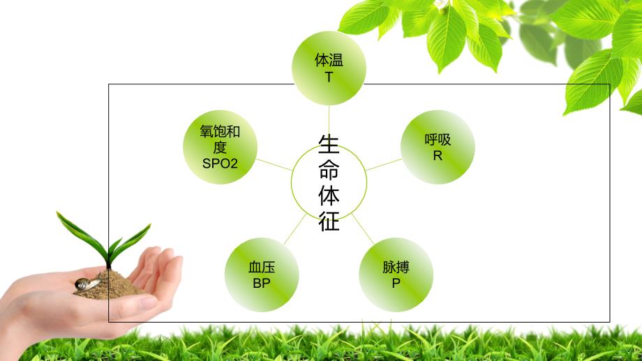 小儿生命体征的测量.ppt_第2页