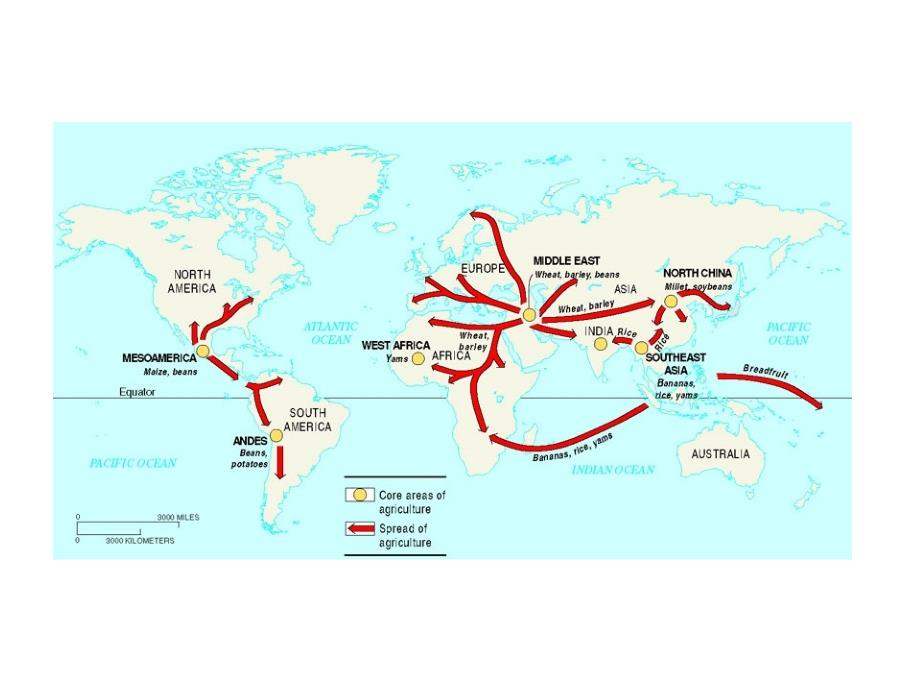 英文世界历史地图集_第2页