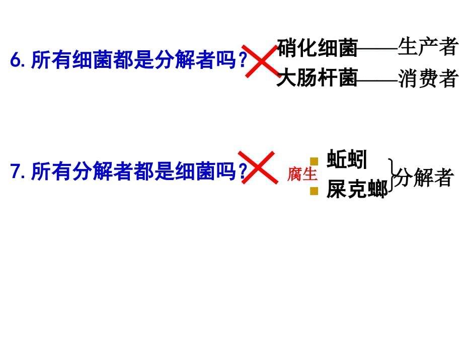 [理化生]生物复习生态系统结构第一轮复习_第5页