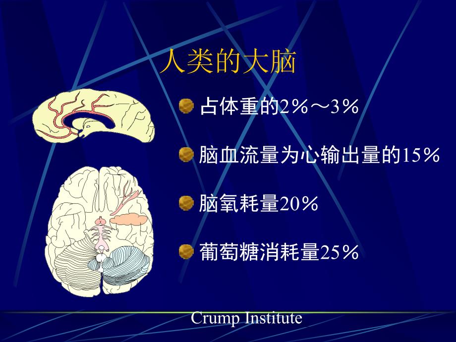 老年性痴呆AD概况PPT课件_第3页