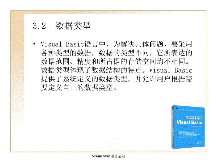 VisualBasic语言基础_第5页