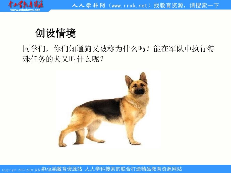 湘教版六年级下册军犬黑子PPT课件_第3页