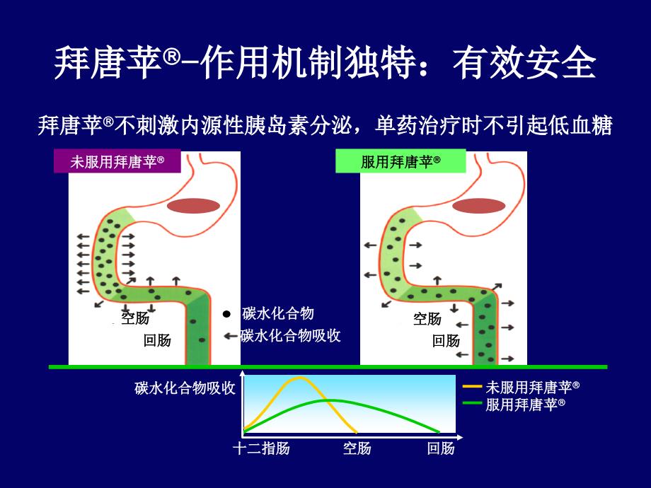 2型糖尿病南纵横谈_第3页