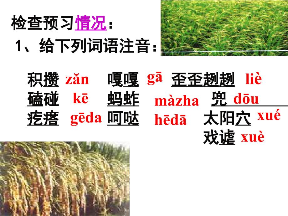 《拣麦穗》课件_第4页