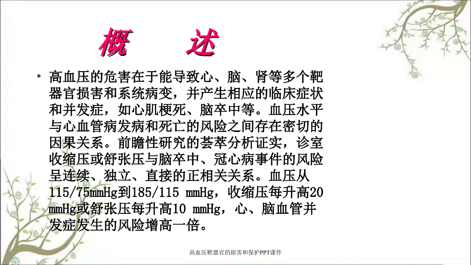 高血压靶器官的损害和保护PPT课件_第3页