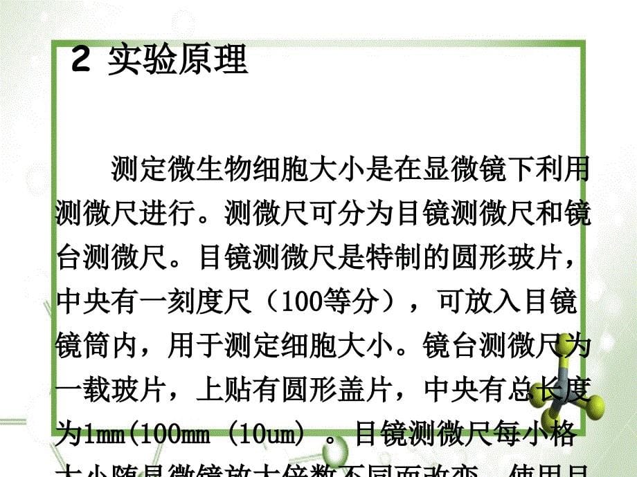 实验四微生物细胞大小测定及显微镜下细胞数量测定_第5页