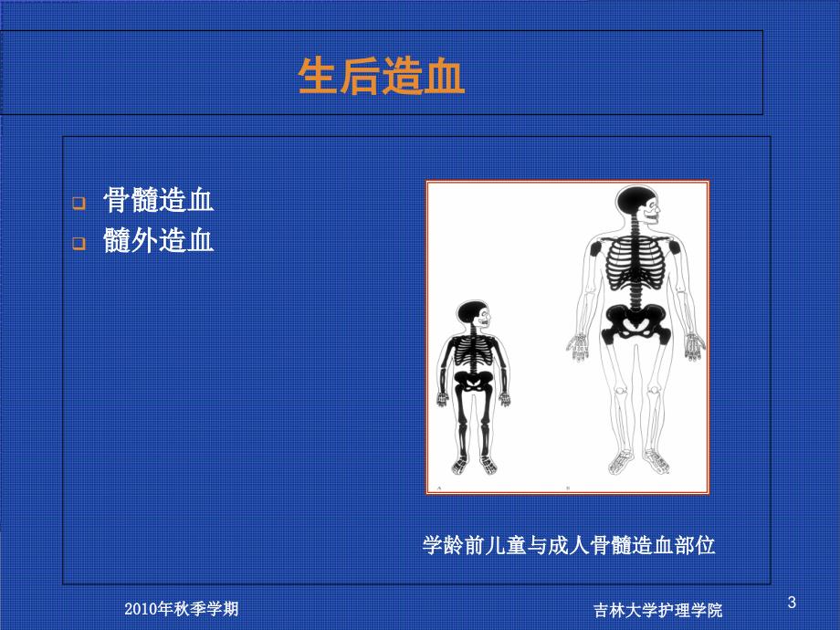 营养性缺铁性贫血患儿的护理_第3页