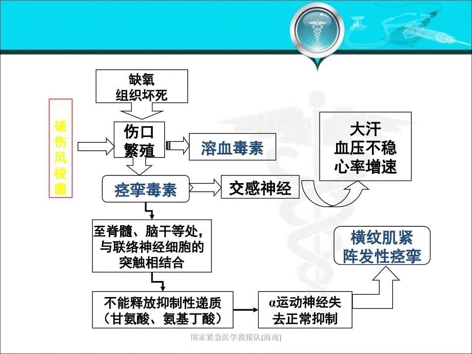 破伤风新课件.ppt_第5页