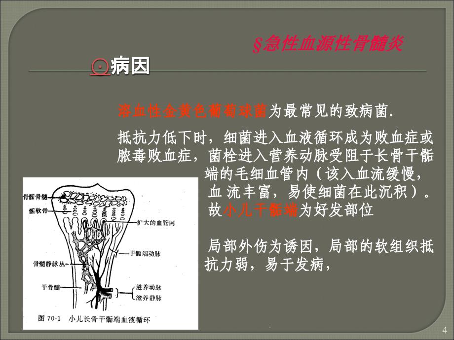 (医学课件)骨与关节化脓性感染ppt演示课件_第4页