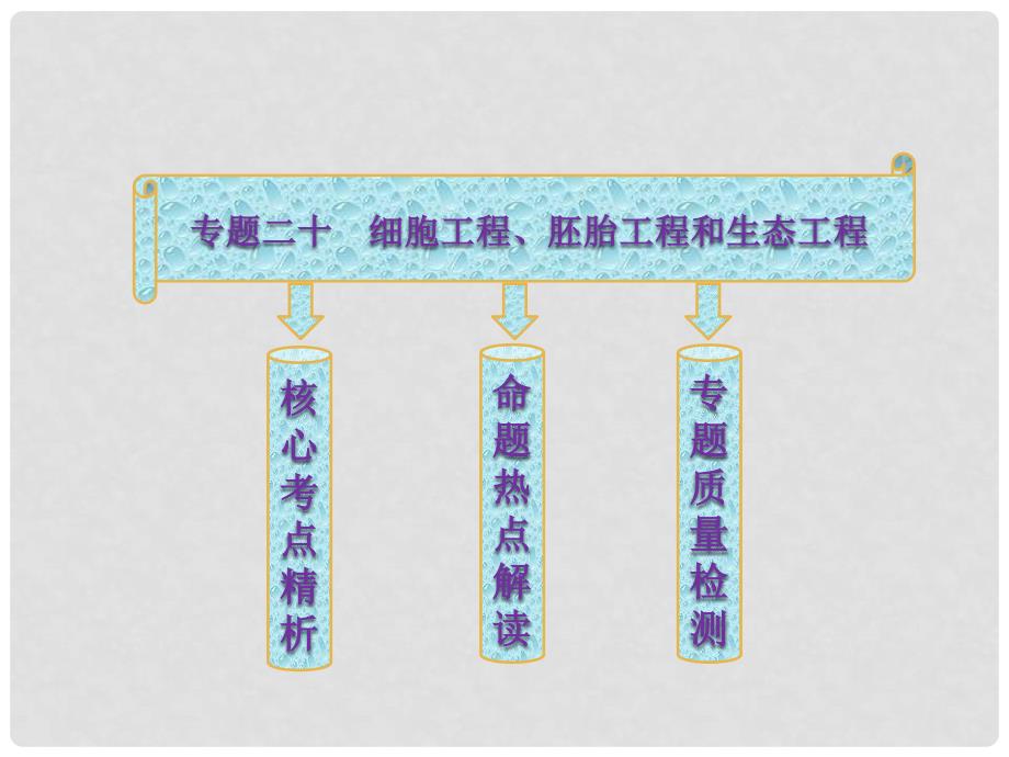 高考生物二轮复习 第二部分 专题二十 细胞工程 胚胎工程和生态工程课件（通用版）_第2页