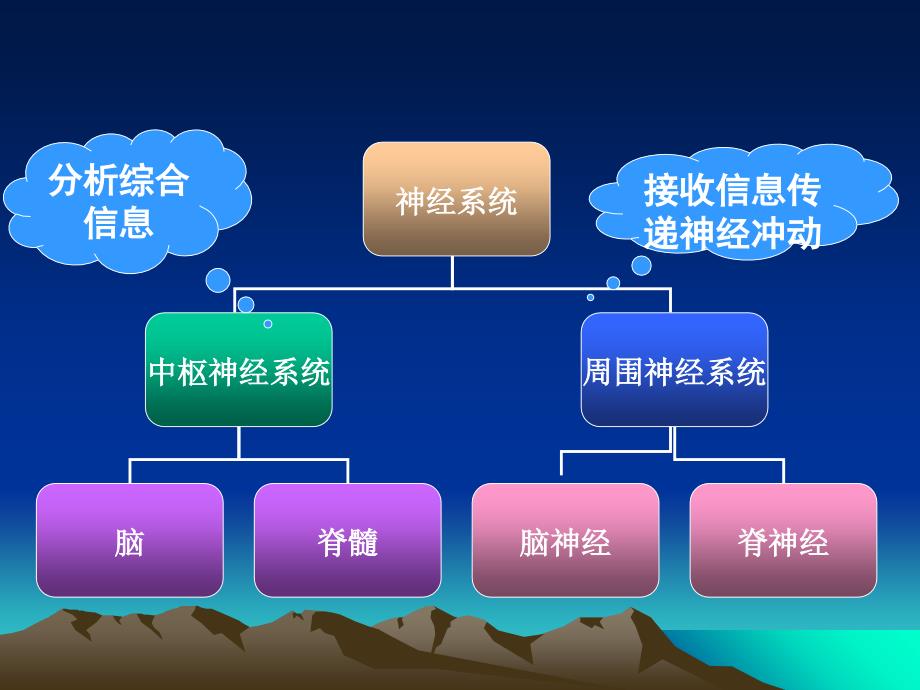 神经系统疾病常见症状体征_第2页