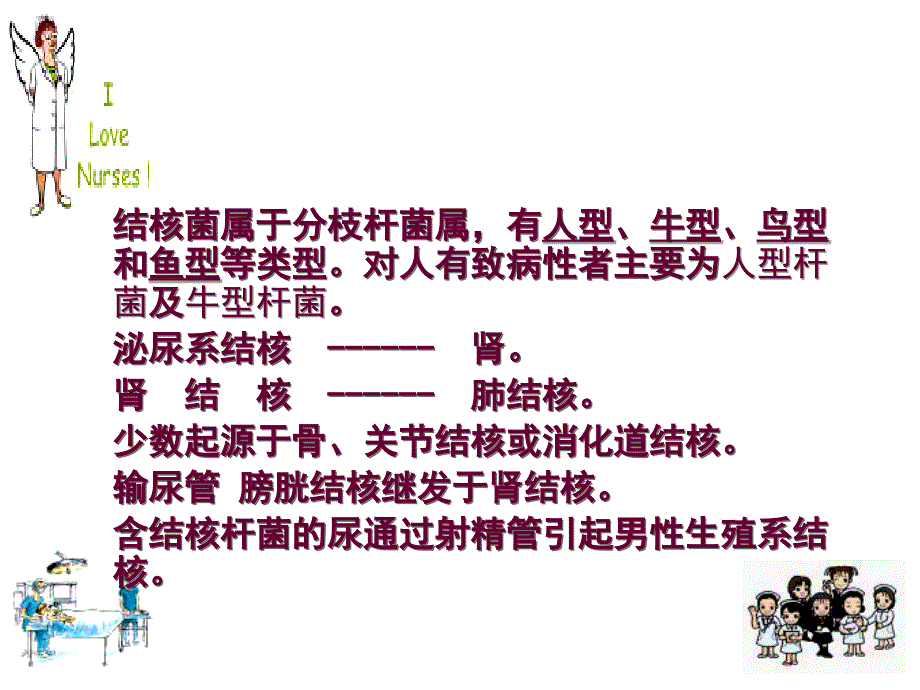 《泌尿系结核护理》PPT课件.ppt_第4页