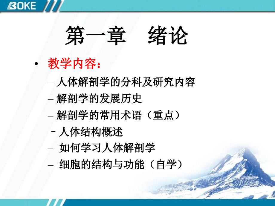 人体解剖学绪论PPT课件_第3页