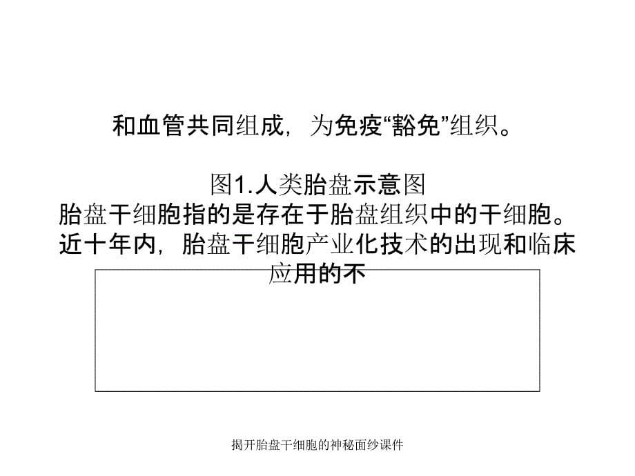 揭开胎盘干细胞的神秘面纱课件_第5页